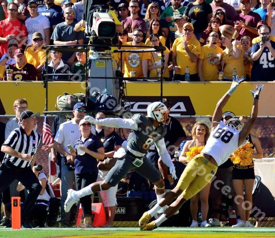 Corey Robinson - ND Football 11-14