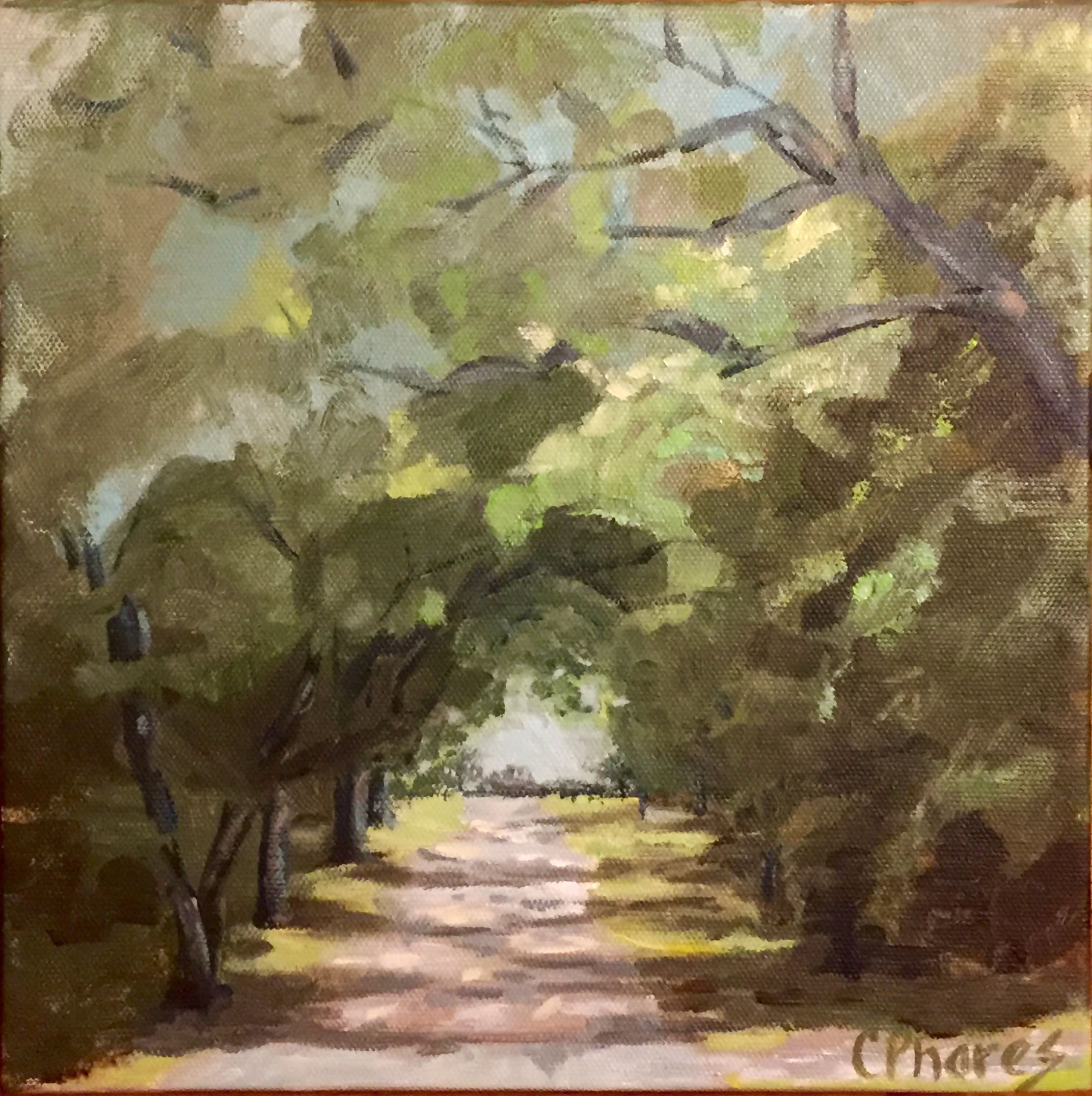 Baldwin County tunnel road