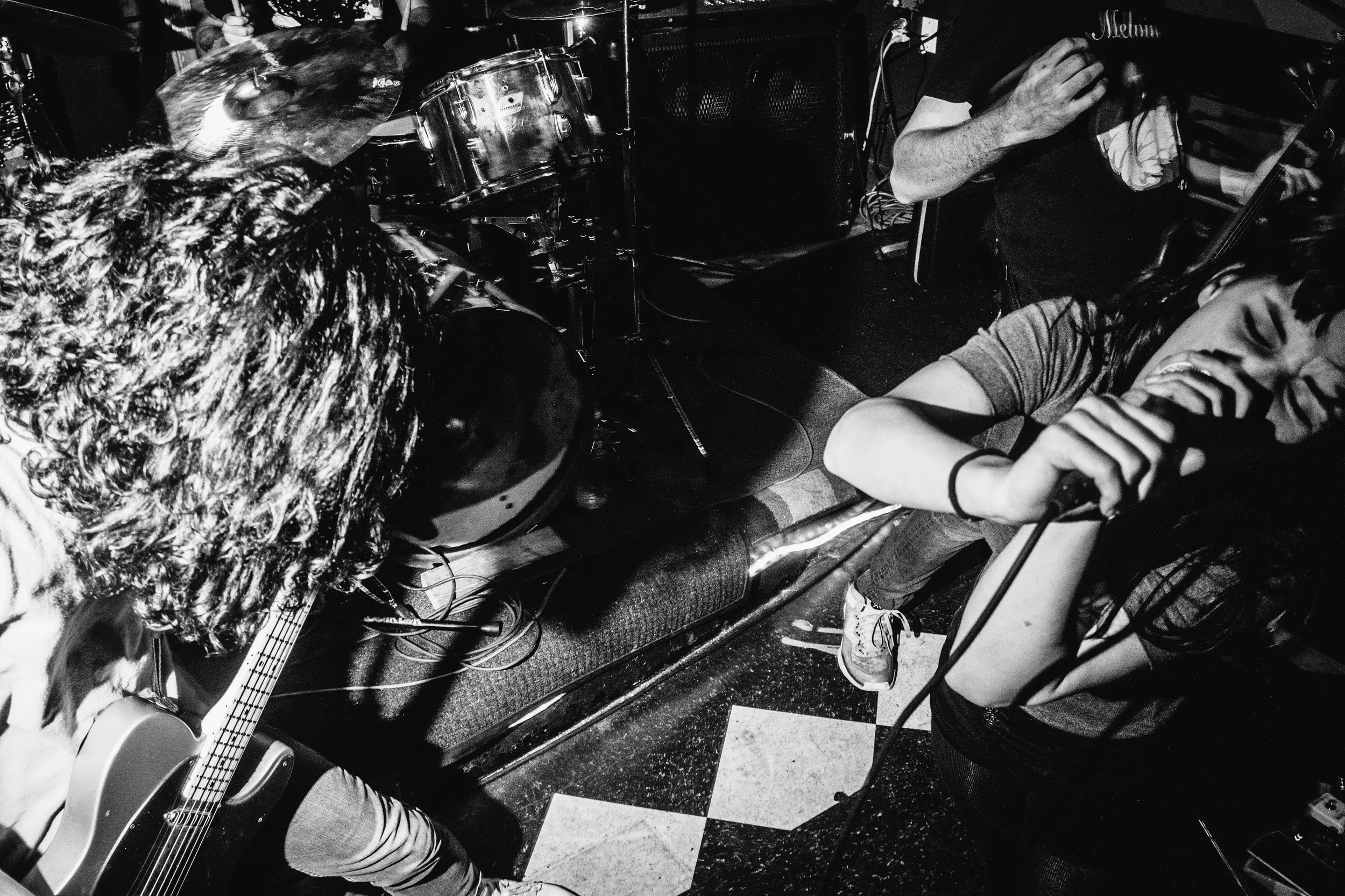 gouge rat-27.jpg