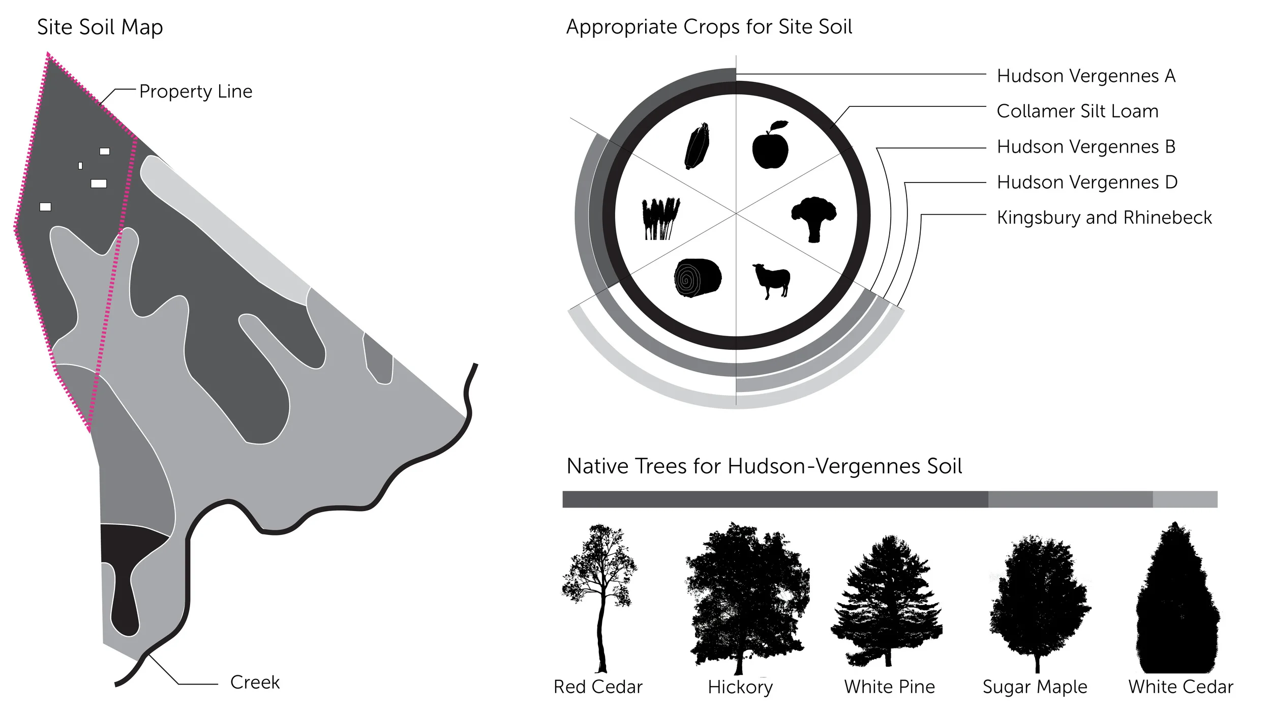 HUDSON VALLEY SOIL NATIVE TREES FARMING