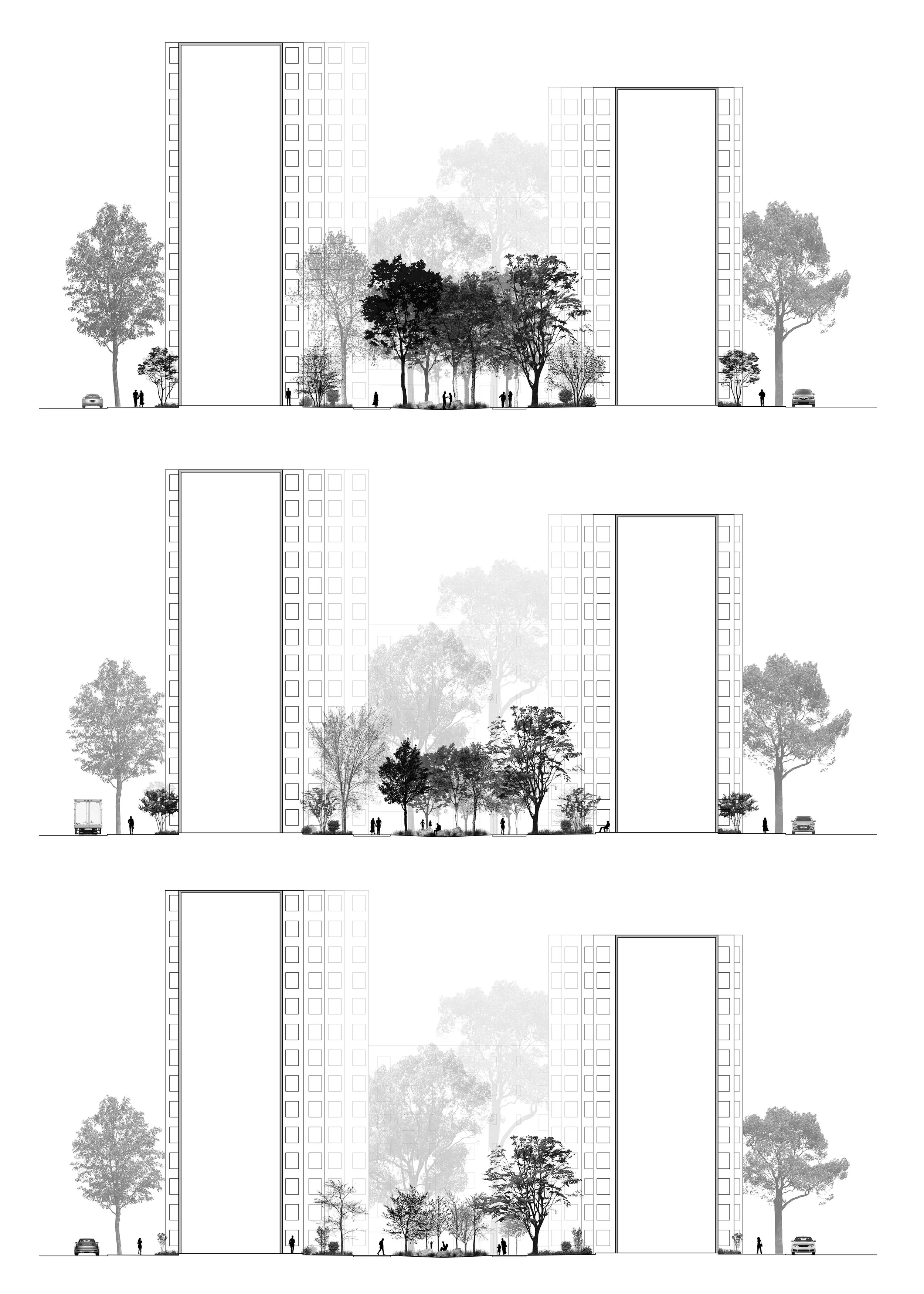 1613_SECTIONS.jpg