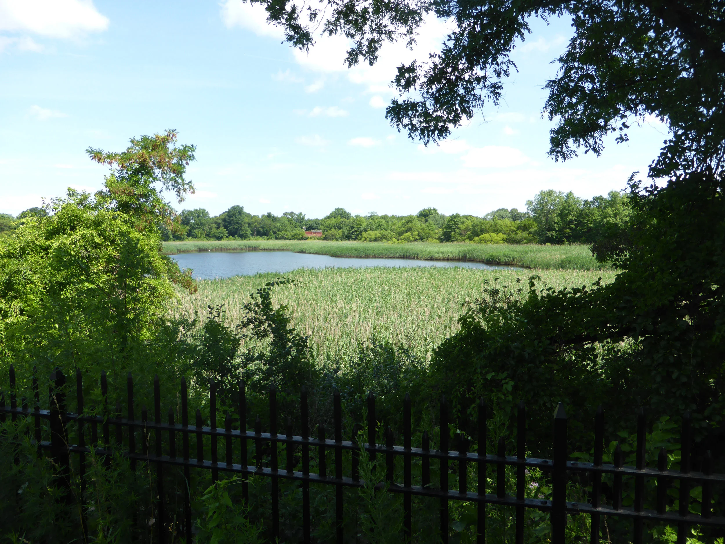Ridgewood Reservoir.JPG