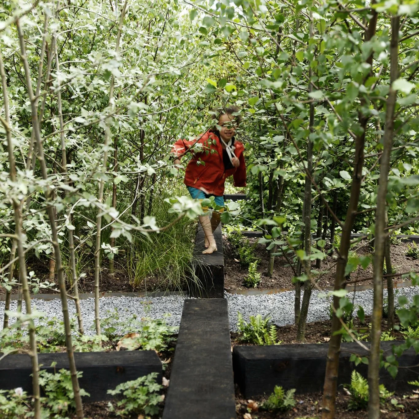 Into_the_Woods.Eric.Sander website cover.jpg