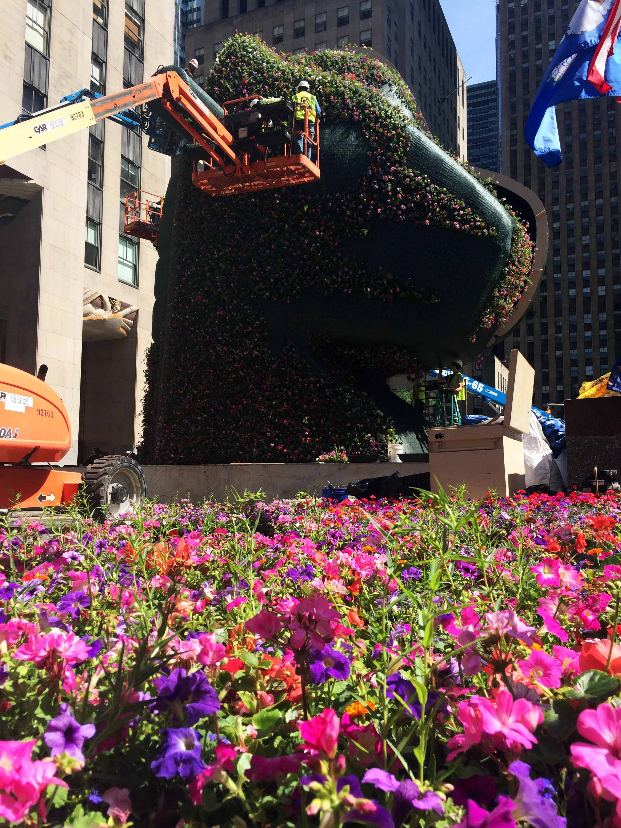 2014-06-15 10.21.25.jpg