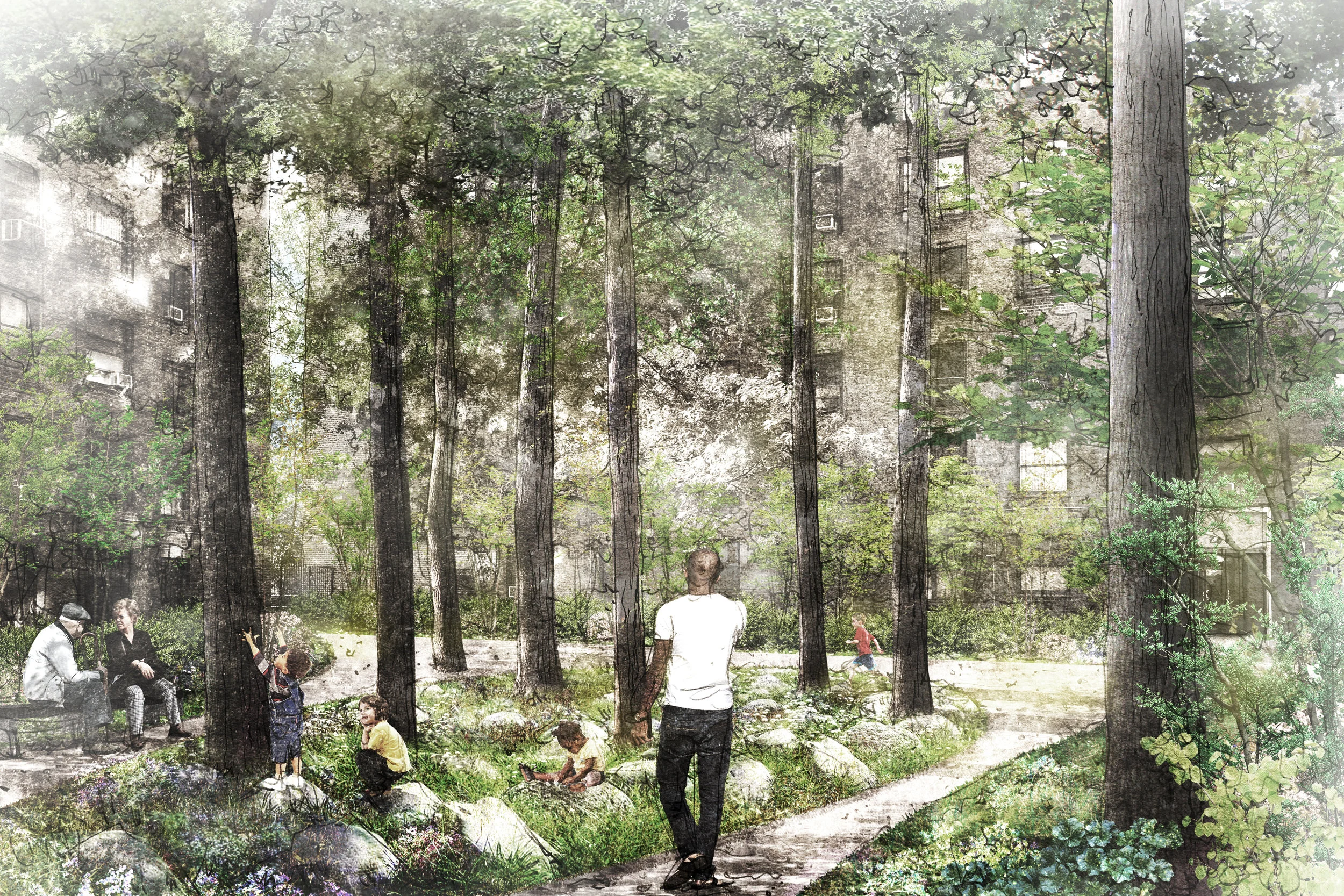 Hopping Garden.jpg