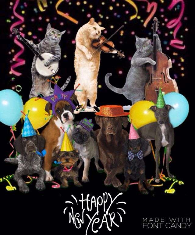 🎉🐩HAPPY NEW YEAR🐈🎉
🎈🎈🎈🎈🎈🎈🎈🎈🎈🎈
What a great way to bring in the New Year by having your pets making new friends win #philapets team. Our Pet Care Specialist are happy to care for philly's best pets. Give us a call to learn more about our