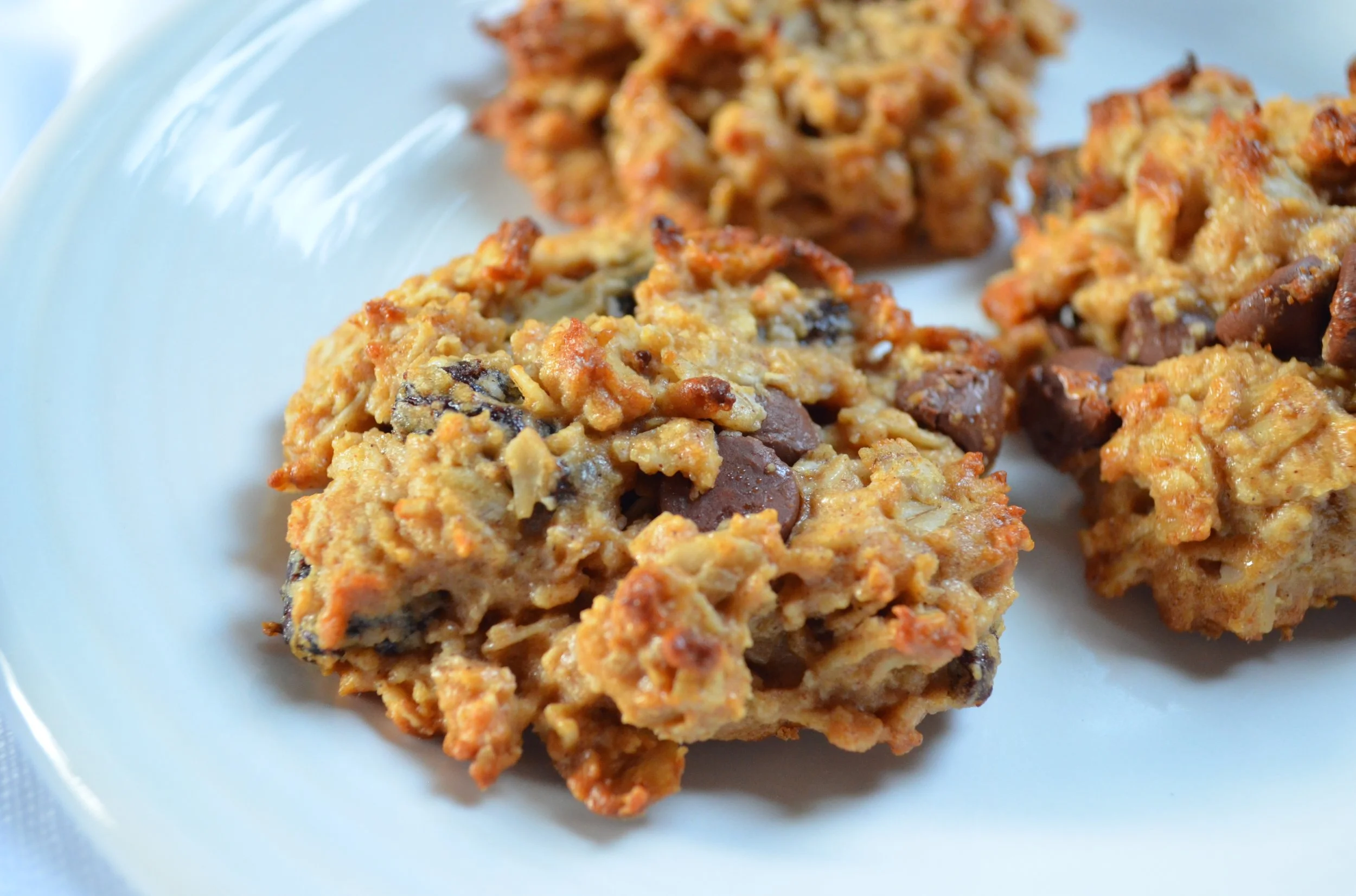 Peanut Butter, Chocolate Chip, Oatmeal Raisin Cookie Recipe (Gluten Free!)