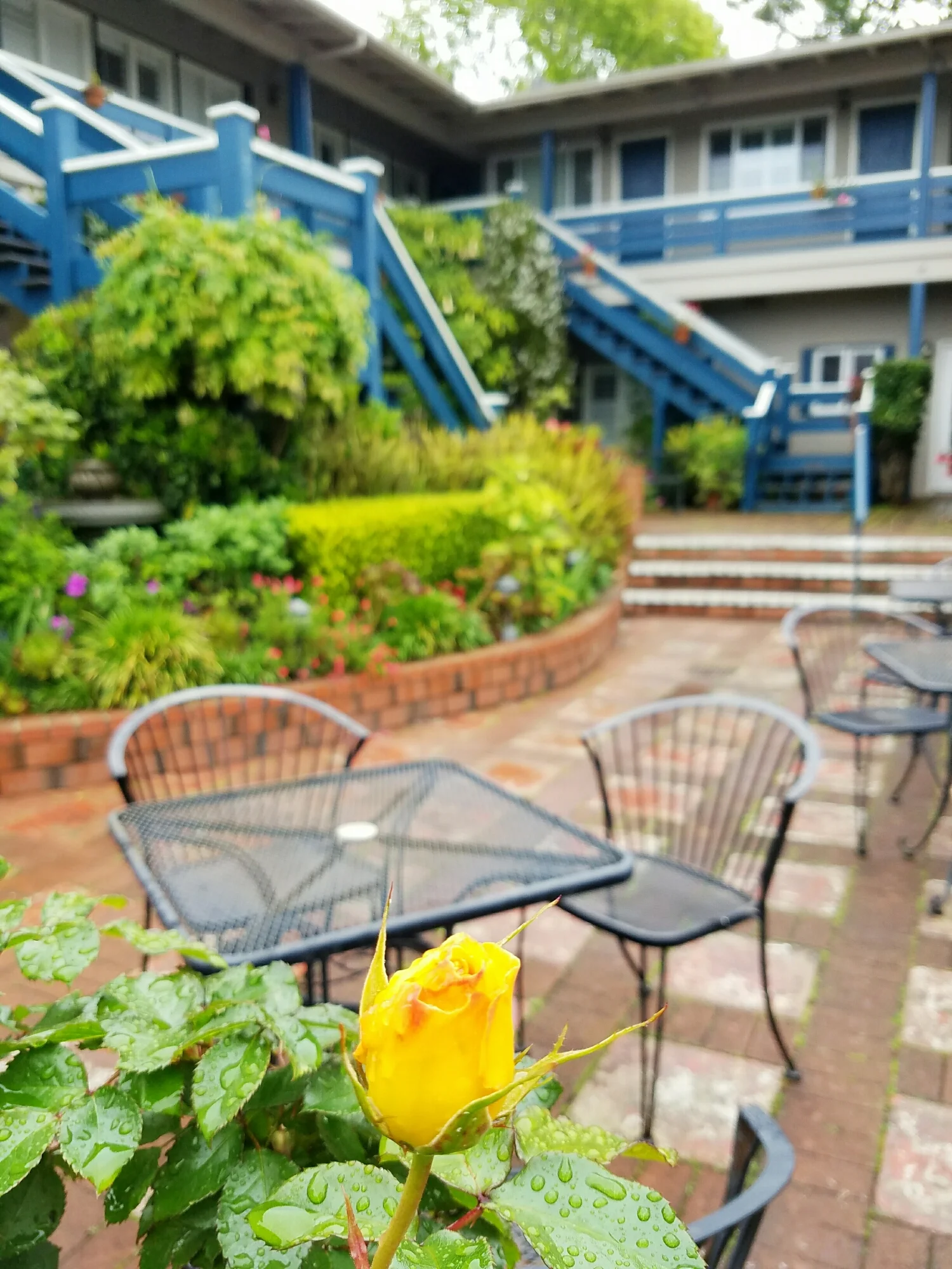 The courtyard garden at the Carmel Wayfarer Inn.