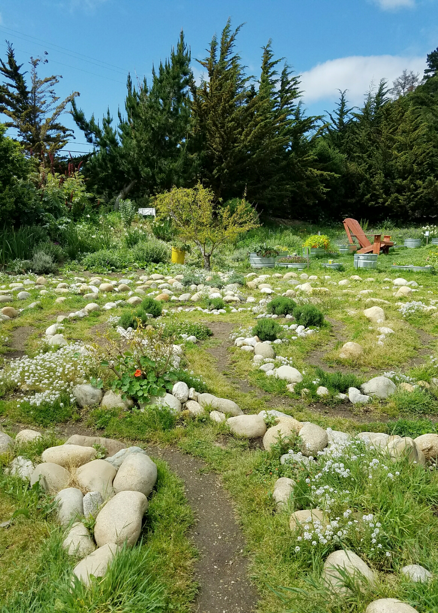 The Aromatherapy Labyrinth at Earthbound Farmstand in Carmel Valley, CA.