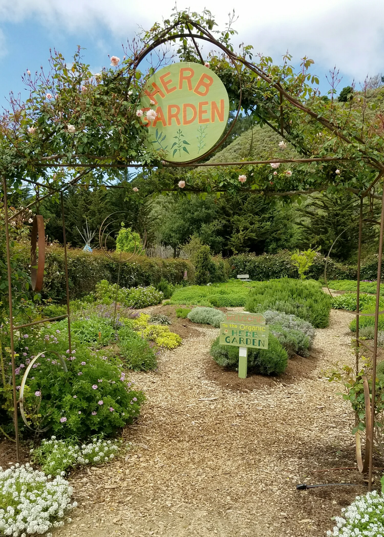 The Earthbound Farm's herb garden in Carmel Valley, CA
