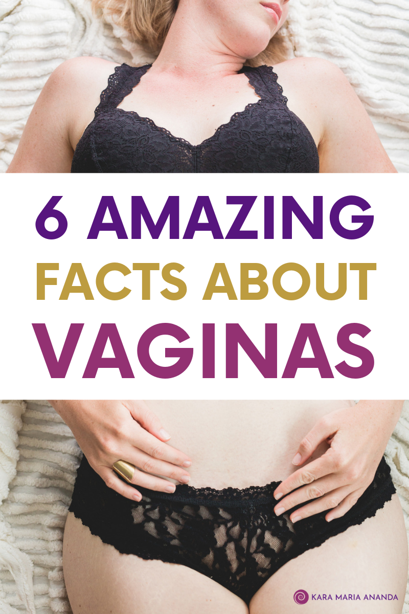 Normal Vaginas