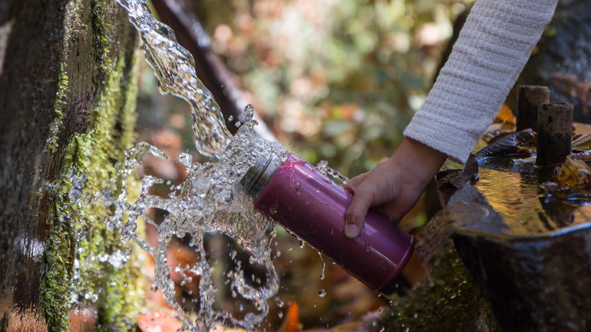 The Benefits of Drinking Spring Water