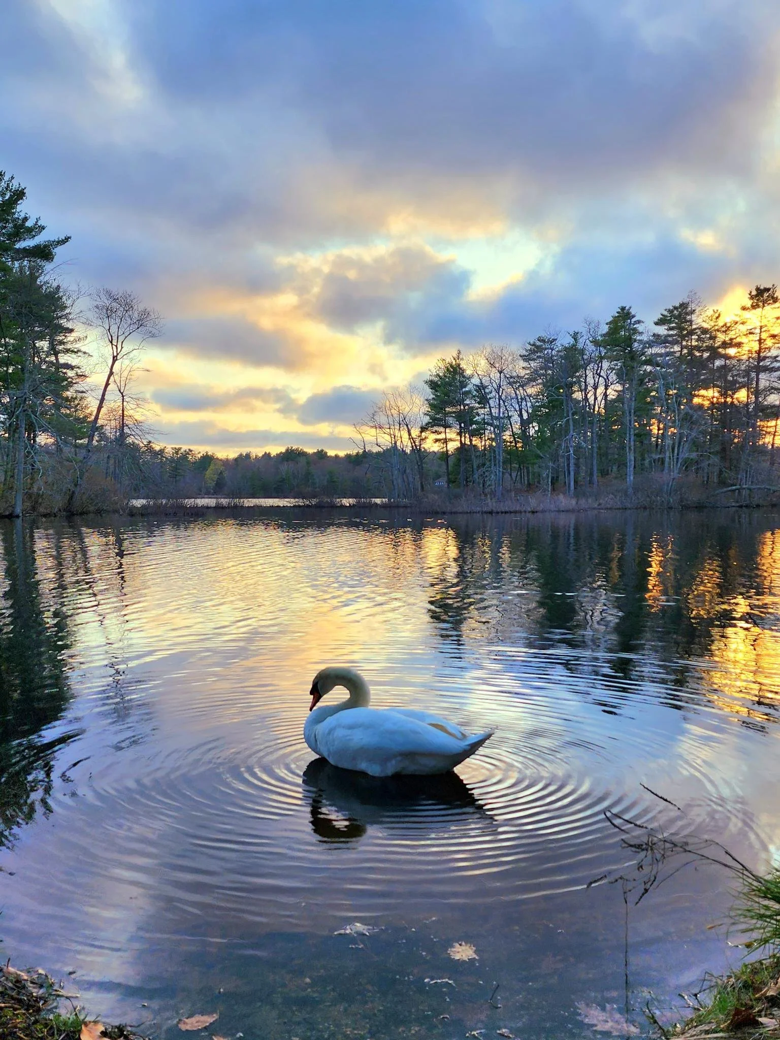 How to Turn On The Healing Power of Positive Thinking