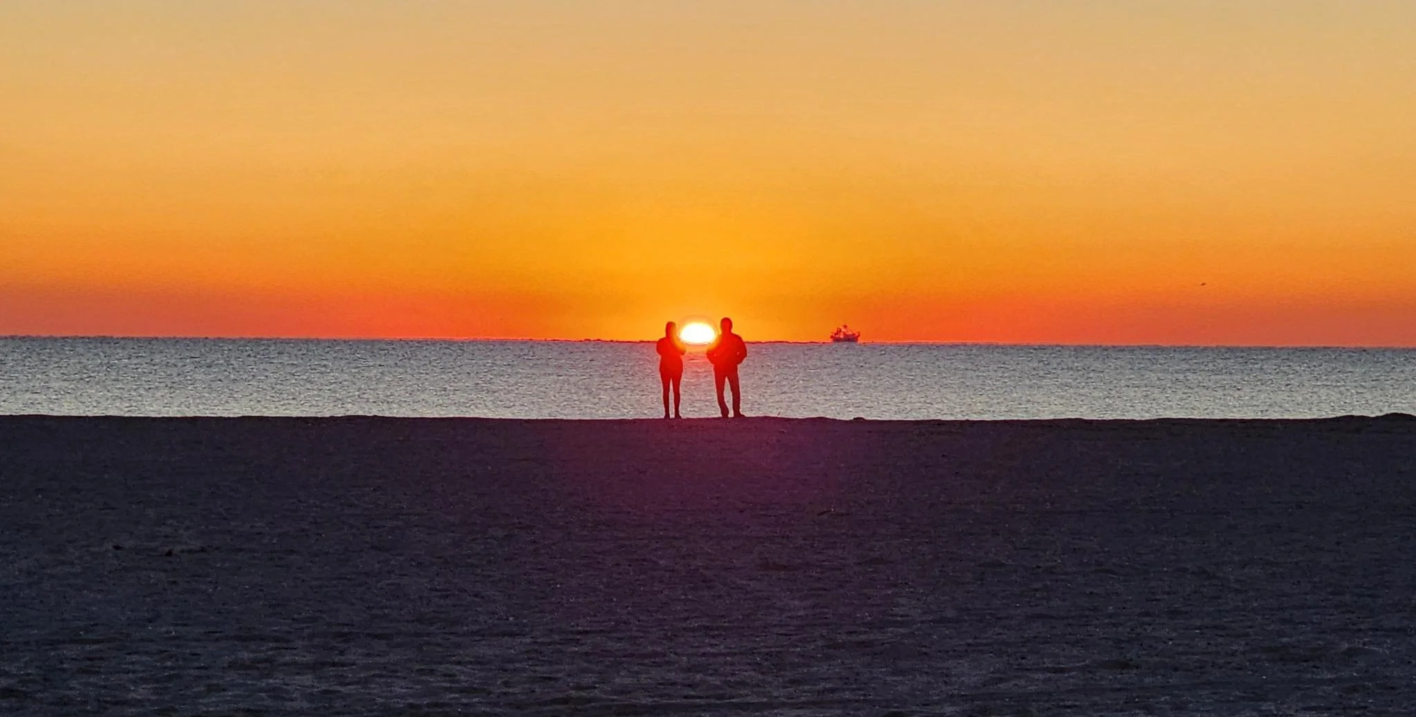 wellness sunrise new 2026.jpeg