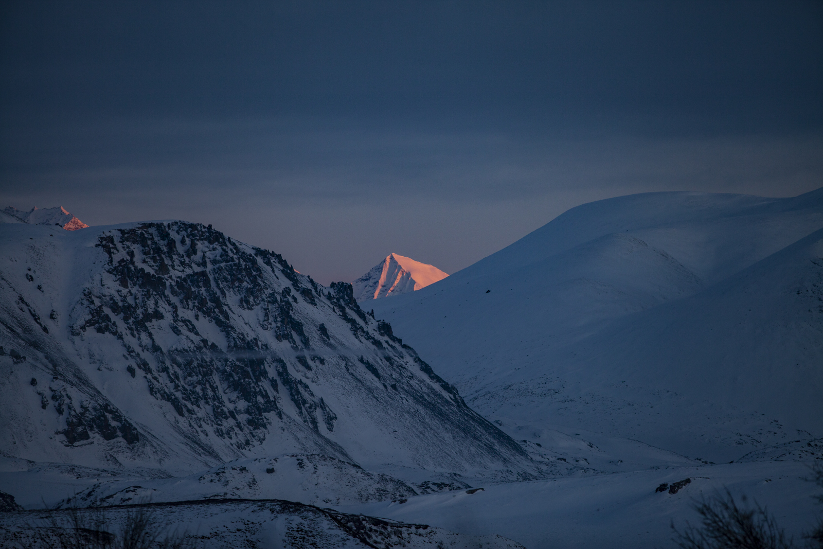 ArcticHeart2019-Blog019.jpg