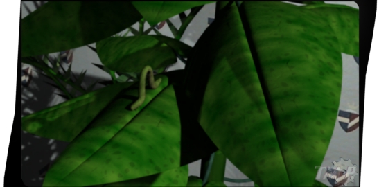 Inchworm