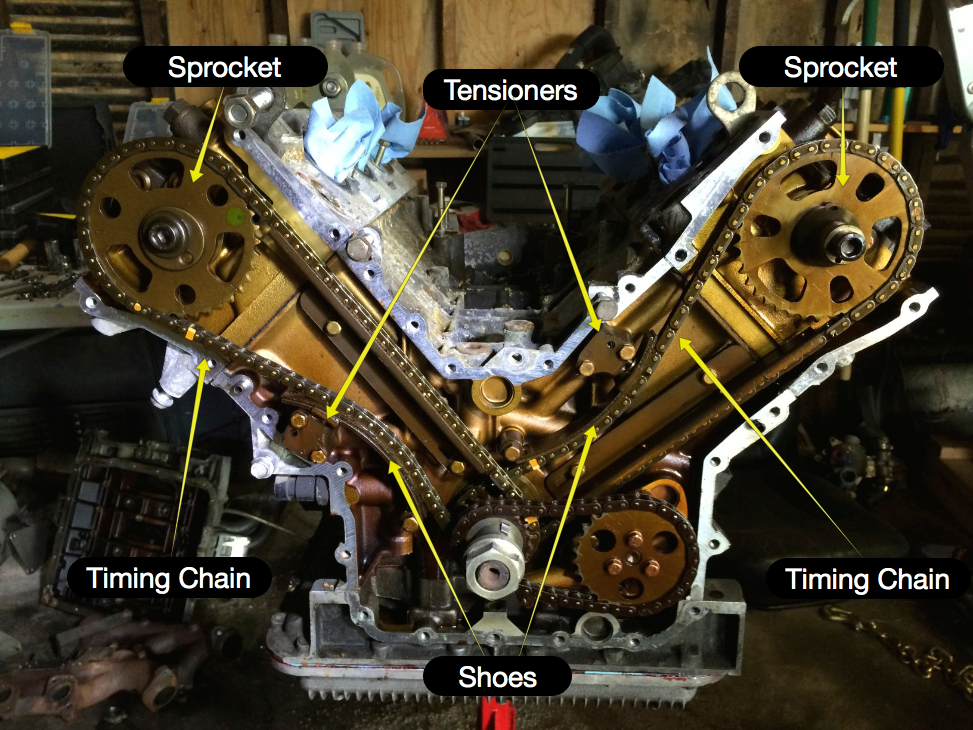 Locations of the timing chain, sprockets, tensioners and shoes.