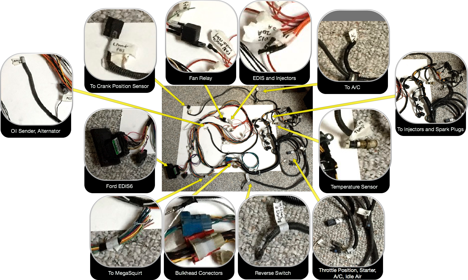 Josh's 3.0L EFI wiring harness with EDIS6 ignition control.
