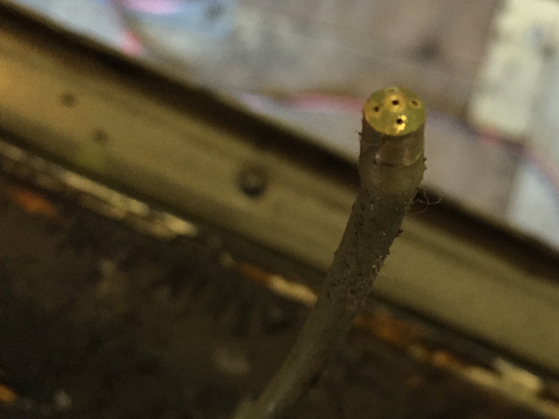 The Eastwood extension wand has five holes in a conical end to spray paint inside the frame in all directions. The Dinitrol wand has a different shape that sprays more out to the sides. Both work just as well.