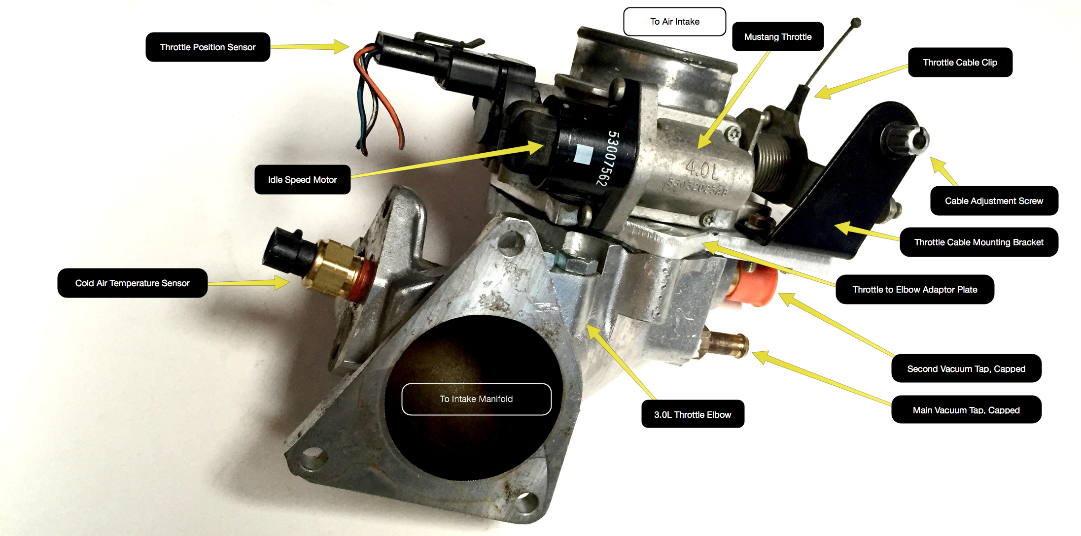 The throttle and installed components mounted on the elbow.
