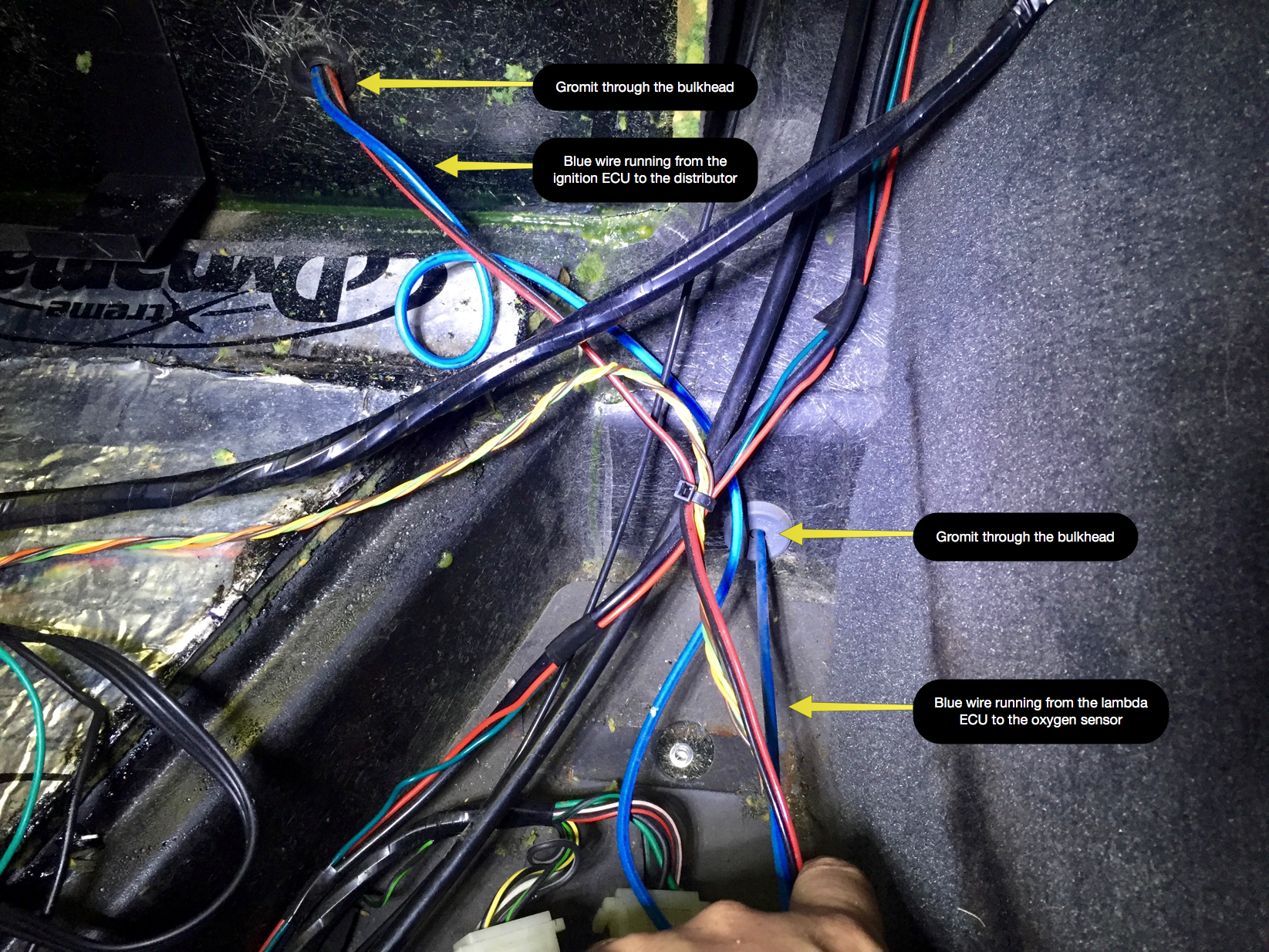 The blue wires runs from the ignition ECU to the distributor, and from the lambda ECU to the oxygen sensor, via grommets through the body.