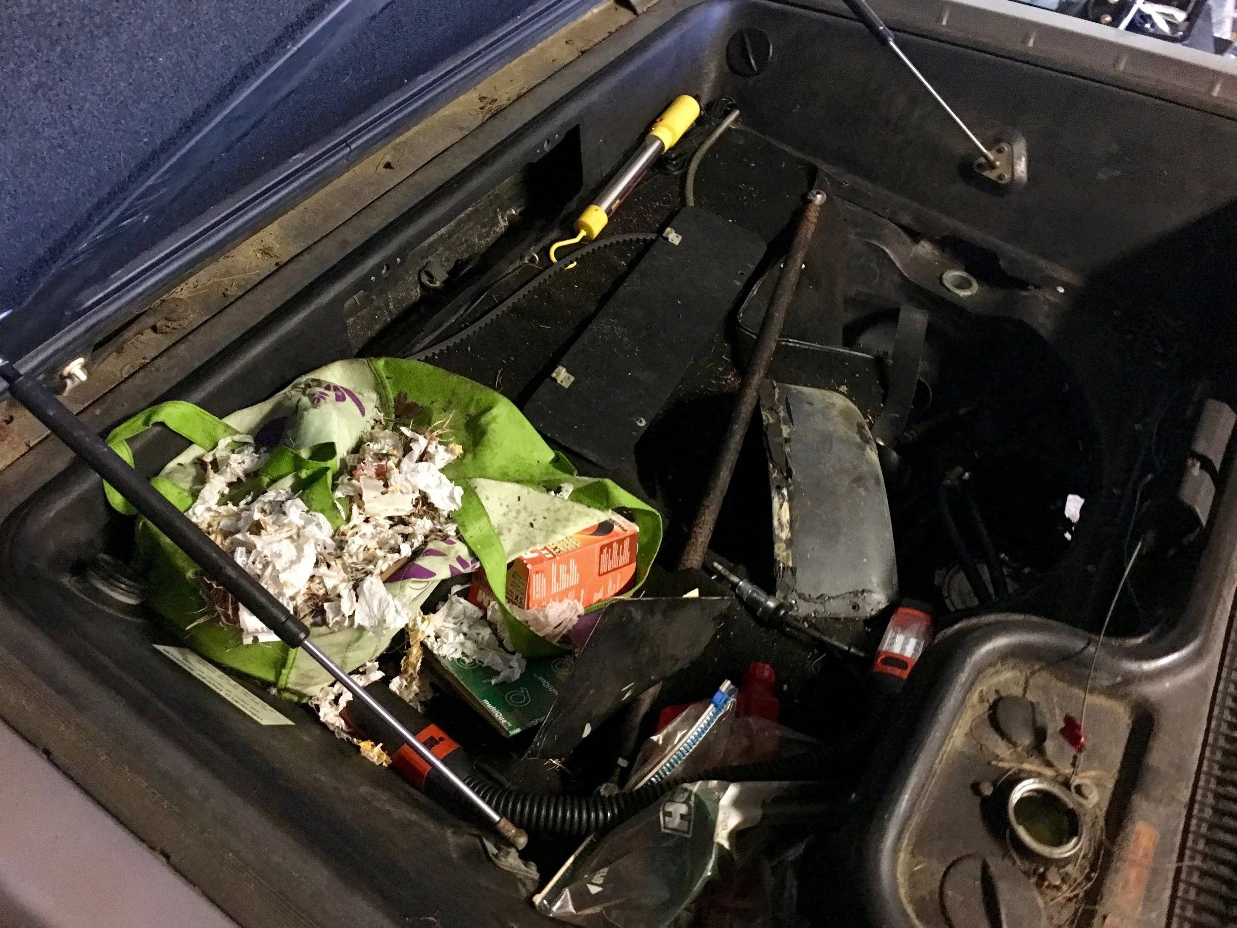 The nest a mouse made in the trop (on top of the green back, left) by sneaking up through the fuel pump access (dark area on the right).