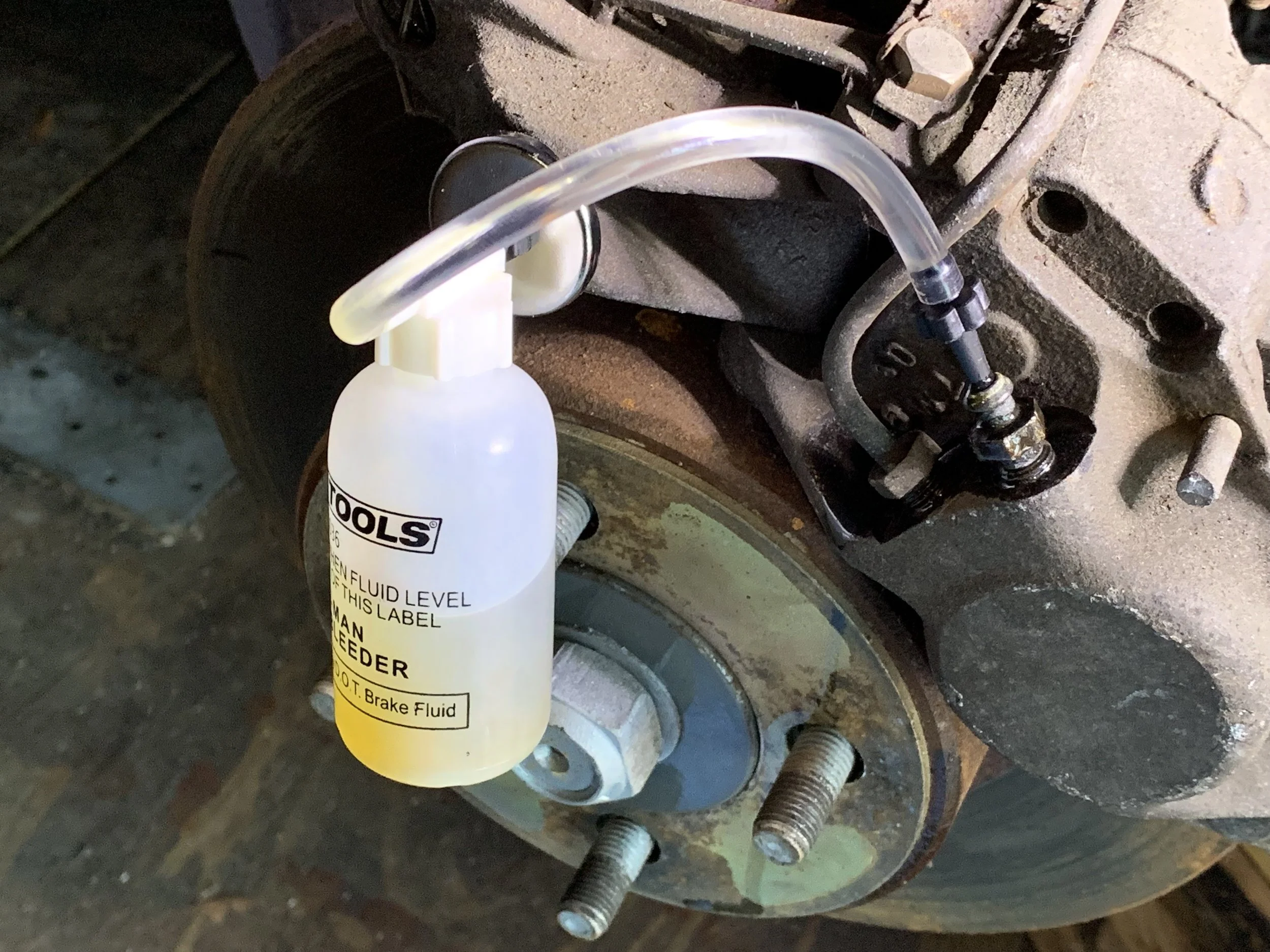 The bleed screw on the rear calipers is on the outside of the wheel.