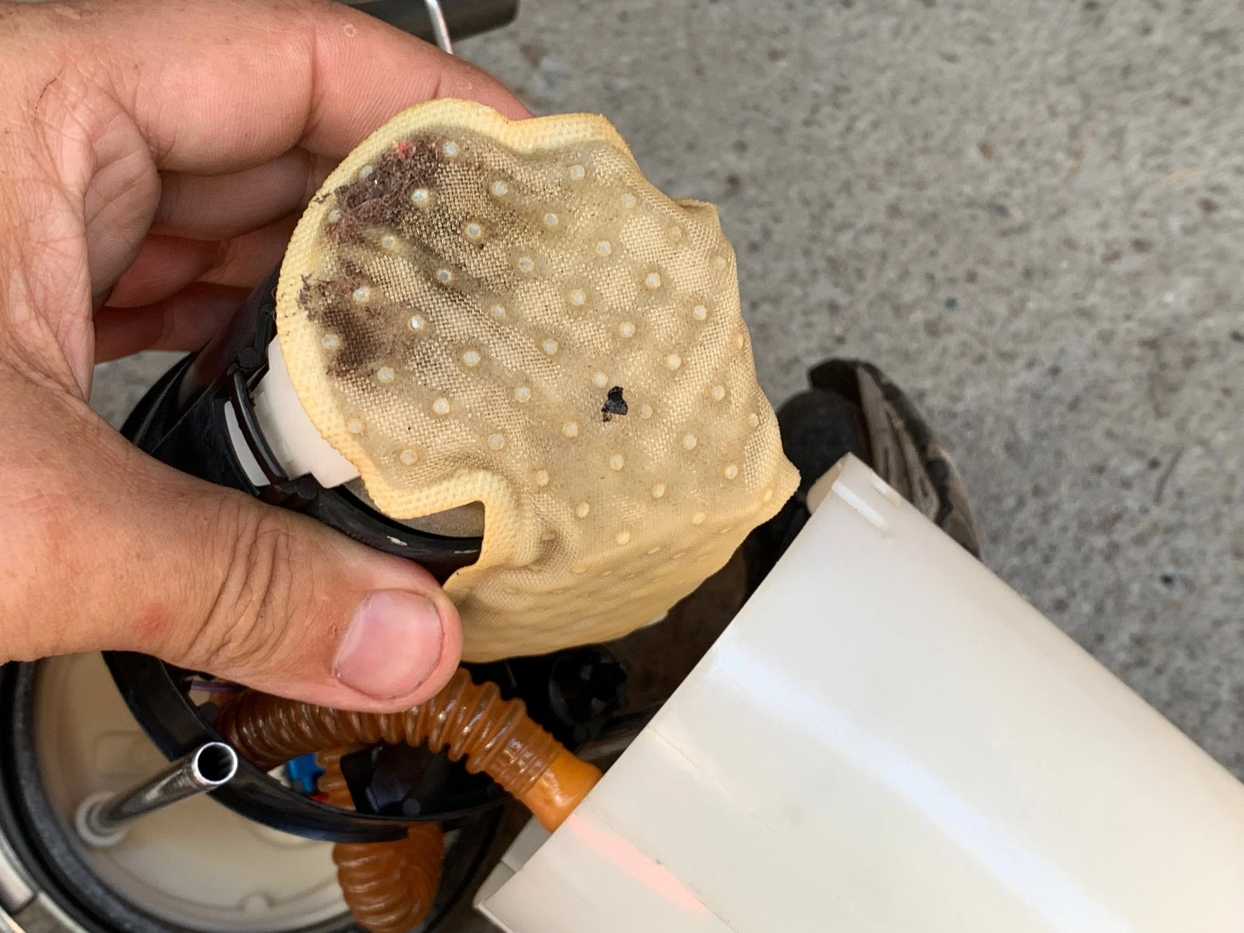 The filter on the pump was quite clean.