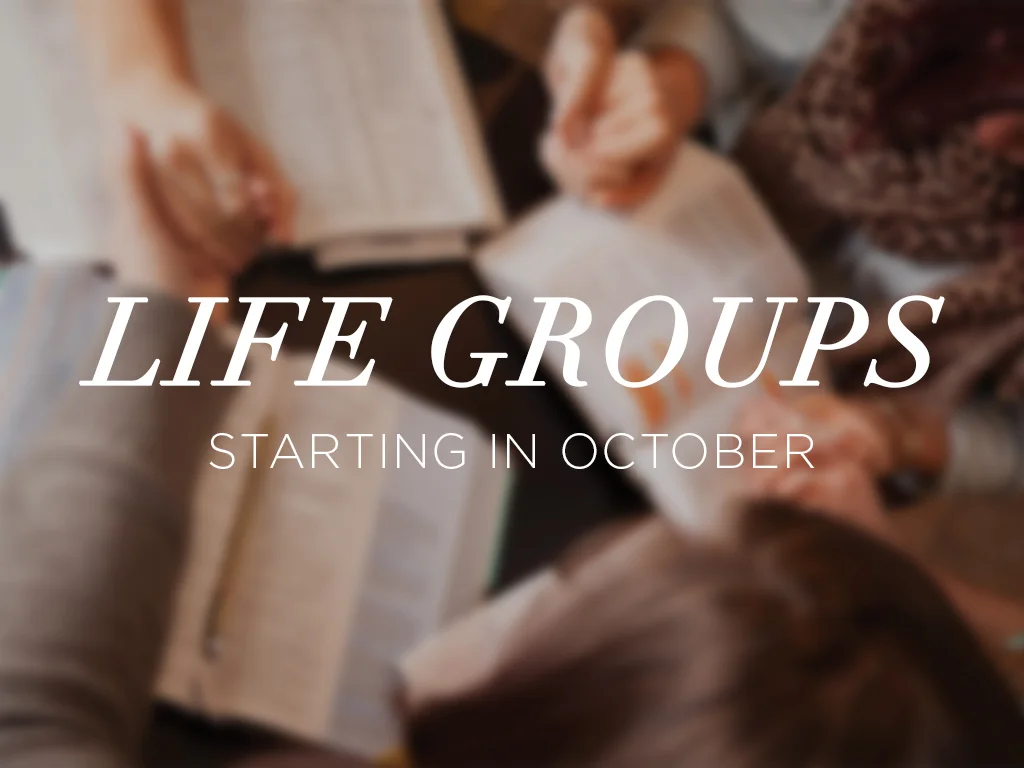 Weekly Life Groups