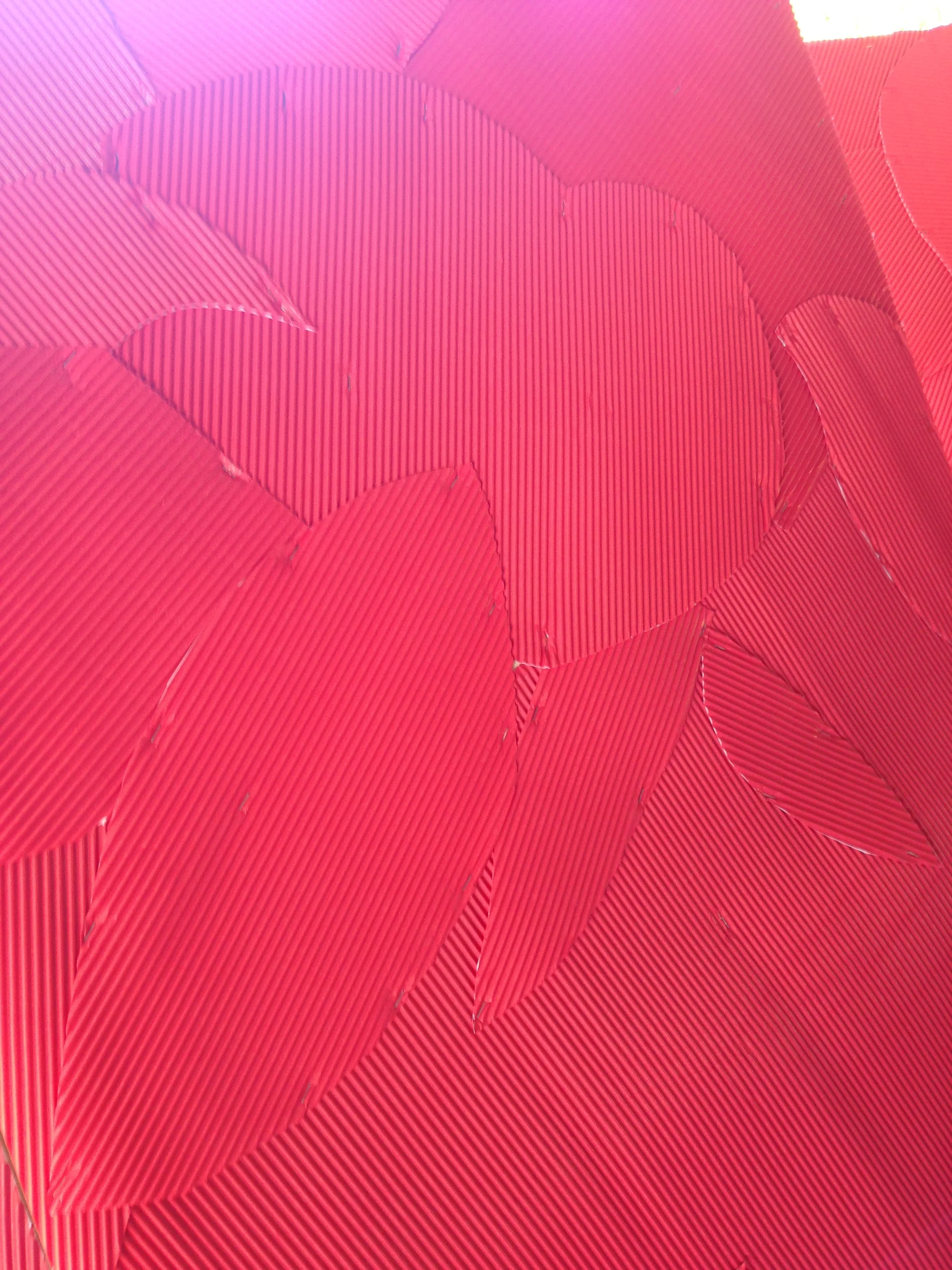 boards-red-5.jpg