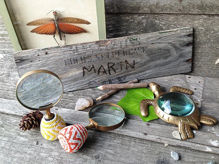 Beaded Magnifying glasses by Anthropologie. Turtle magnifying glass from World Market.
