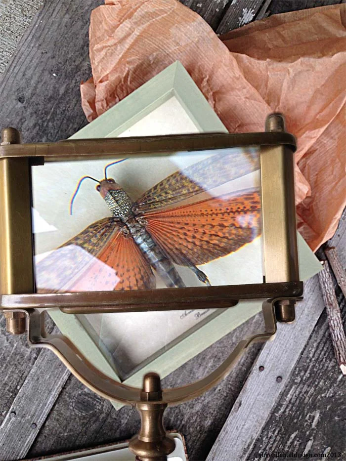 Magnifying glass from World Market. 