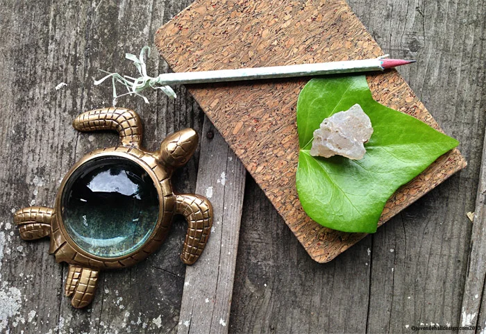 4.turtle-magnify-sketch-3-juvenilehalldesign.com-blog.jpg