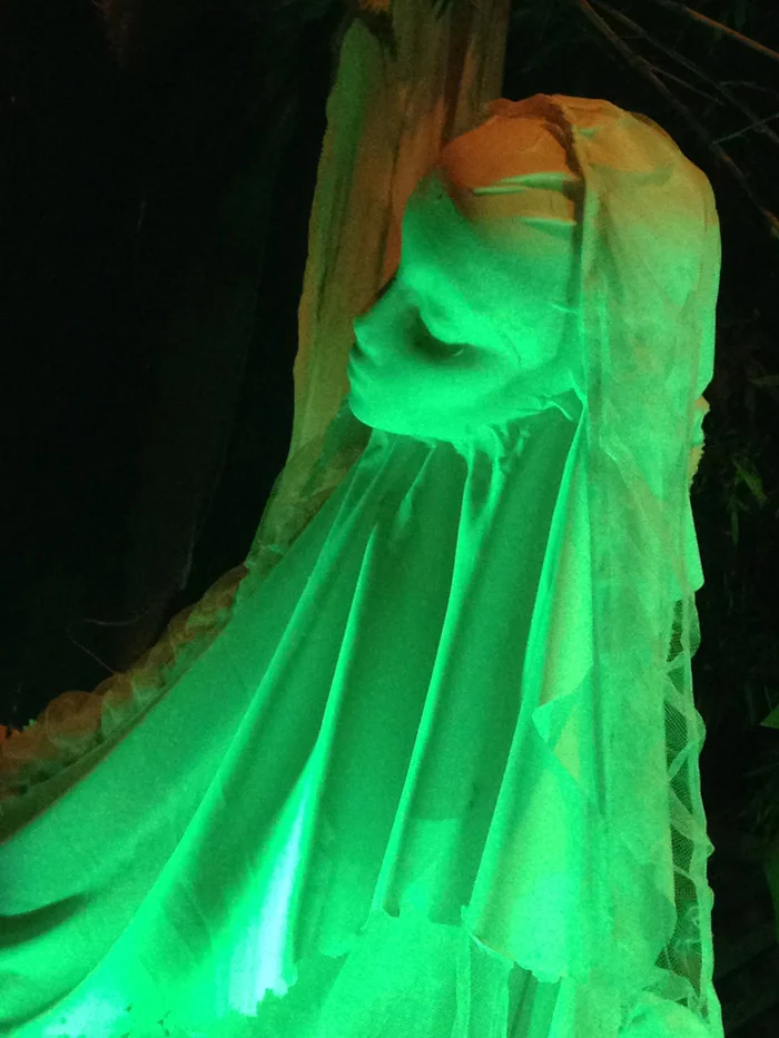14.green-heavy-shadow-juvenilehalldesign.com-blog.jpg