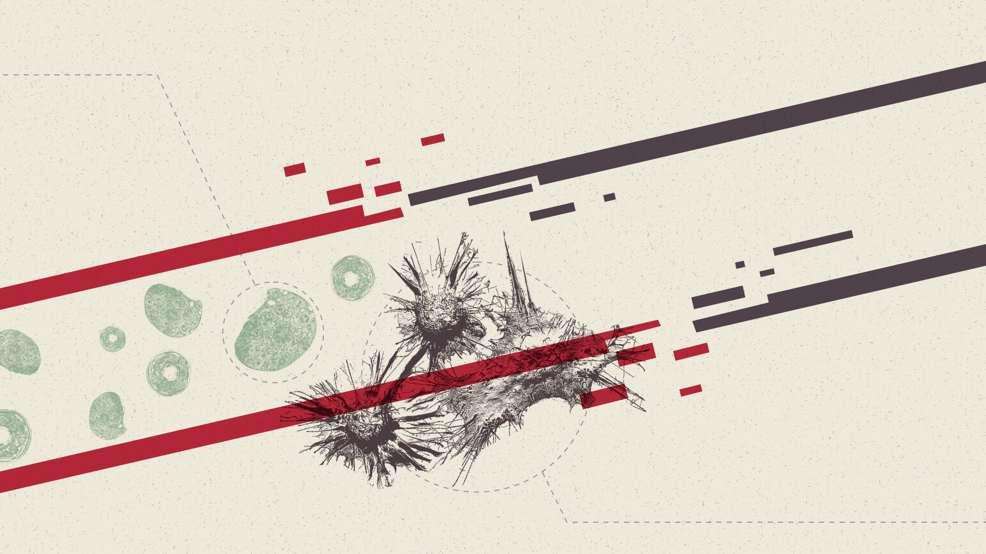 CCBC_STYLEFRAME_001_A_V001_SAMD_00001.png