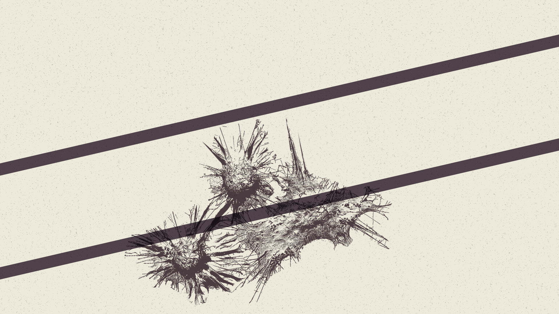 CCBC_STYLEFRAME_001_A_V001_SAMD_00000.png
