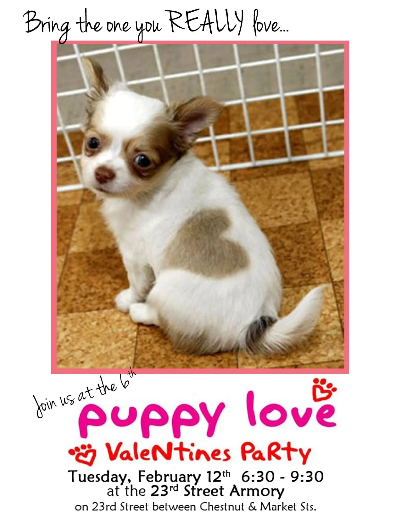 Smokin' Betty's and Devil's Alley Present 6th Puppy Love Valentin'e Party