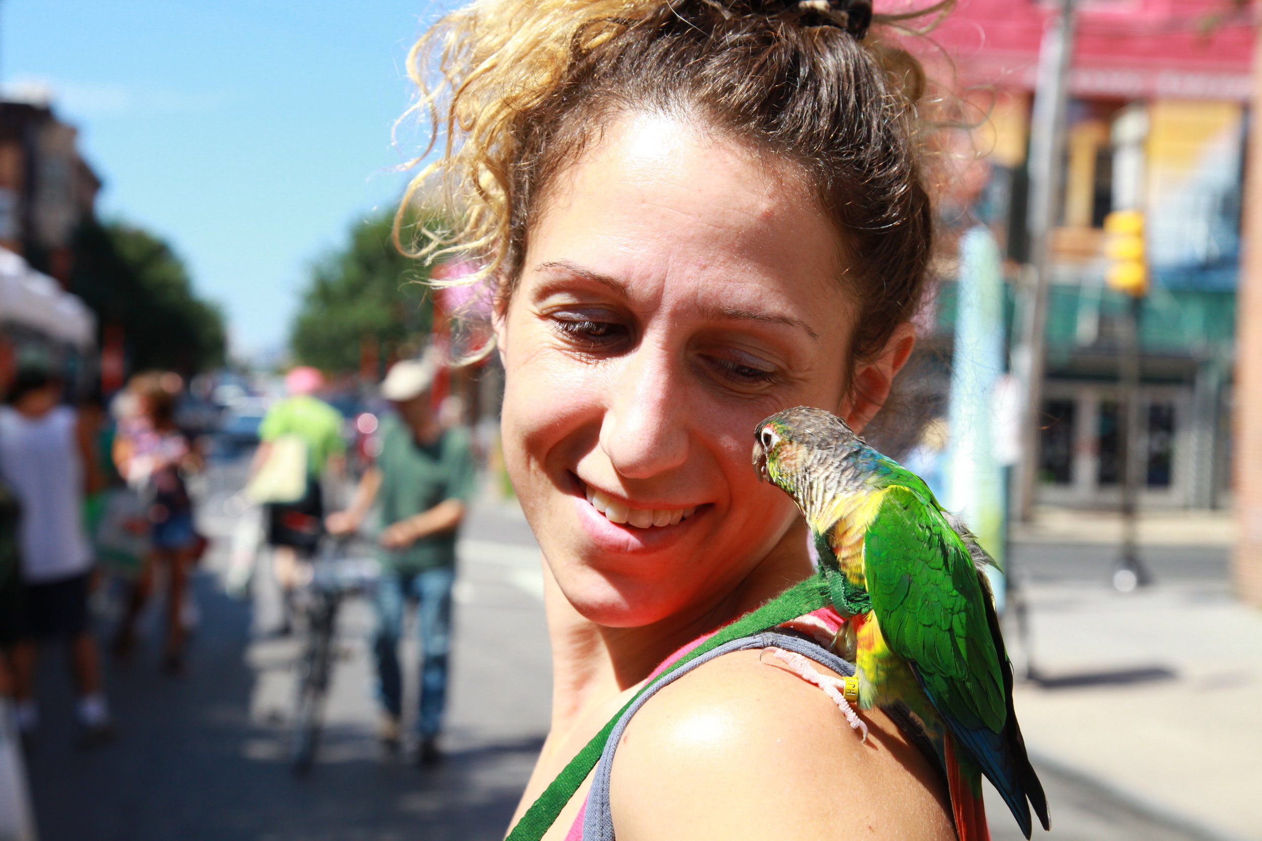 11th Annual Greenfest Philly Returns with Rock Wall, Edible Bugs, Prius Prime Drives 
