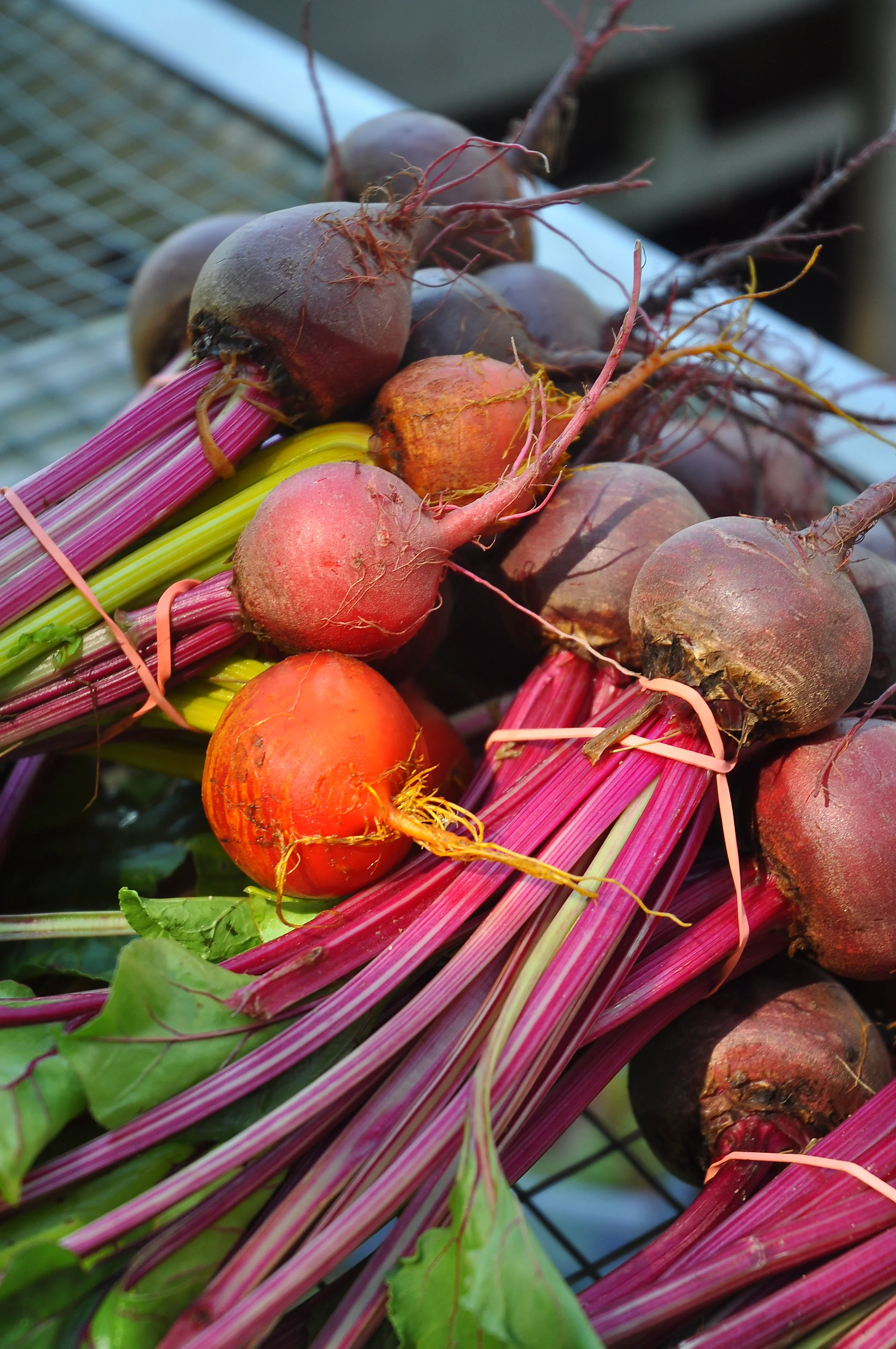Les Dames d’Escoffier Philadelphia Hosts Summer Garden Party To Benefit The Farm At Bartram's Garden