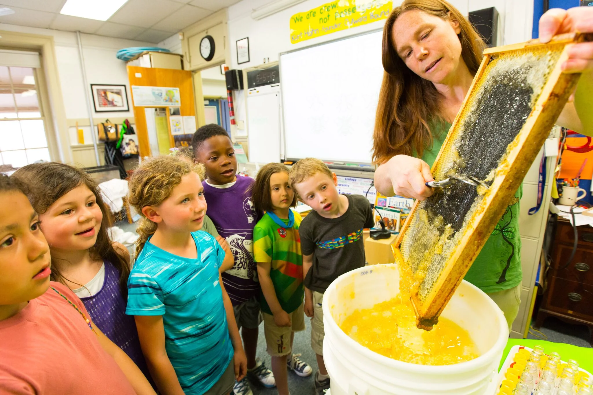 Philadelphia Beekeepers Guild Hosts Philadelphia Honey Festival at Bartram's Garden, Glen Foerd and Wyck Historic House on September 8,9 and 10, 2018