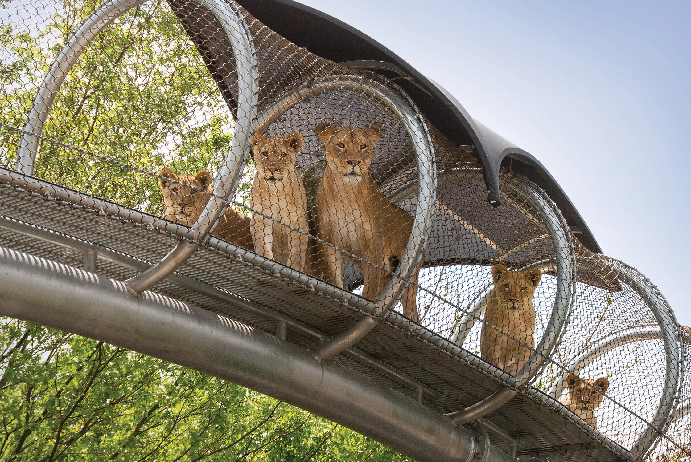 Philadelphia Zoo Announces Reopening Date, Tickets Go on Sale This Week! 
