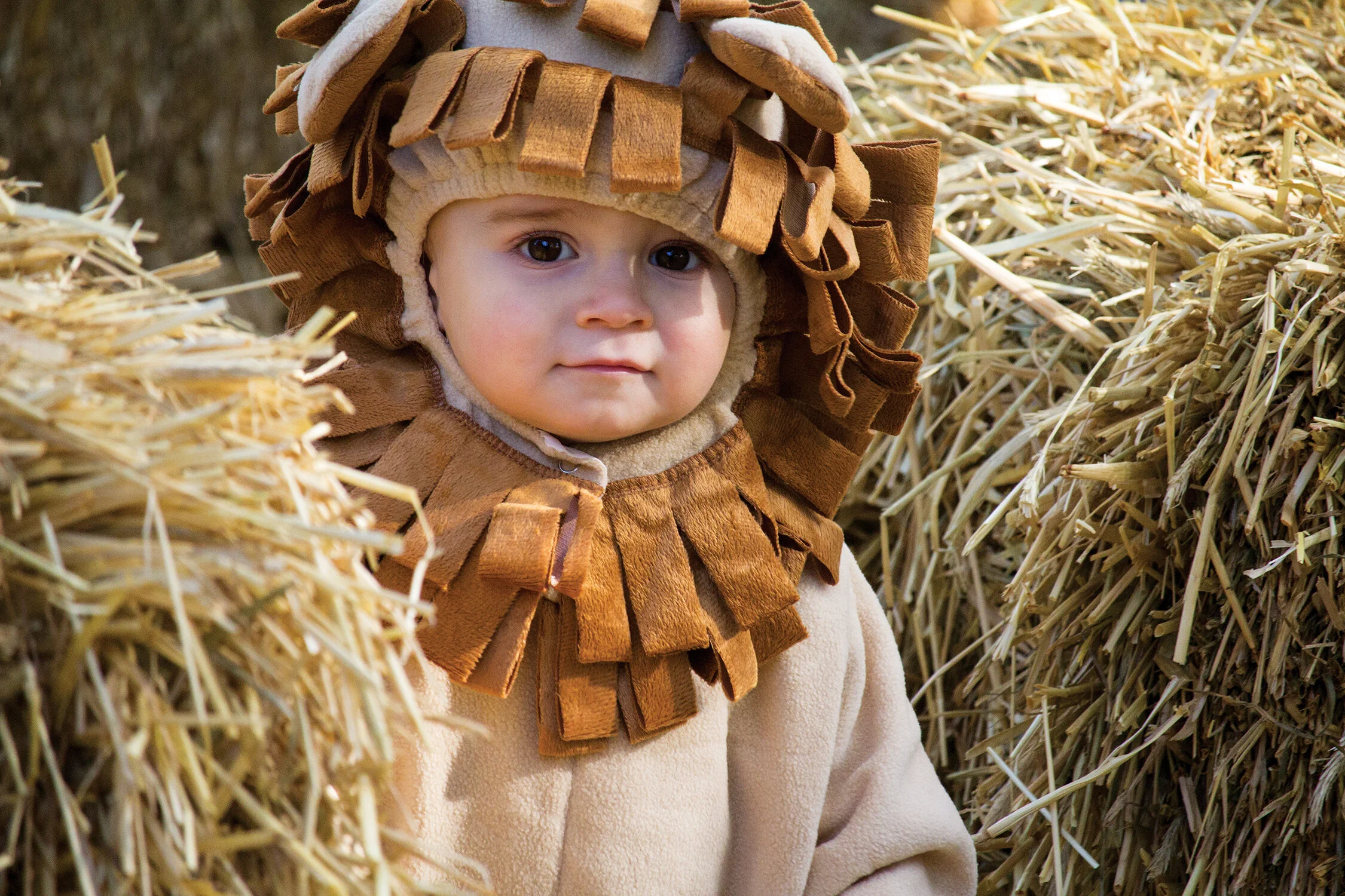 Philadelphia Zoo Announces Return Of Annual Halloween Celebration Boo At The Zoo 