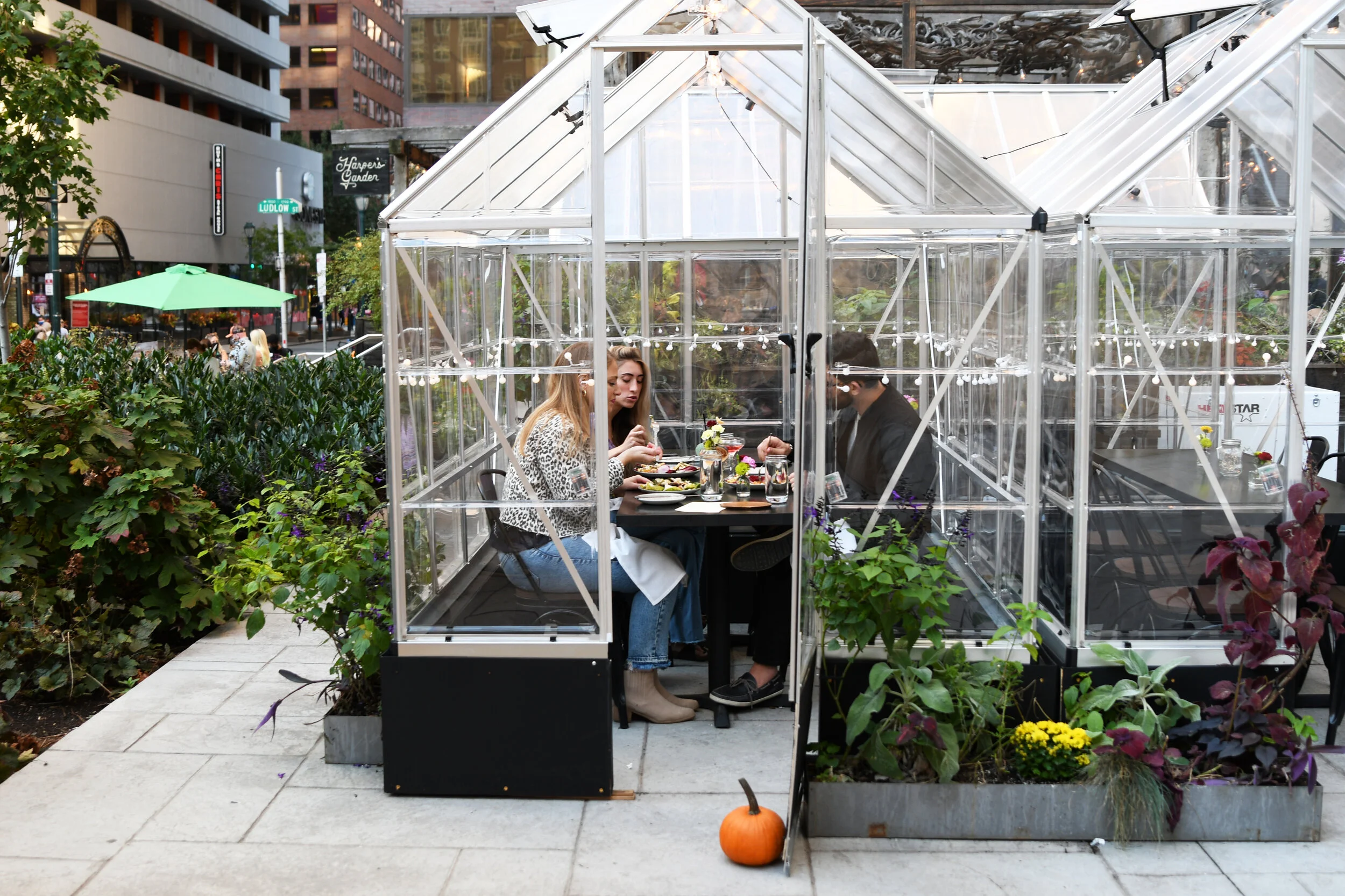 Private Greenhouse Dining Rooms Take Over Philadelphia Outside Harper’s Garden