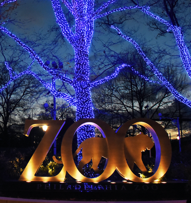 Philadelphia Zoo Lights Up Main Plaza With Blue Lights To Thank Healthcare Heroes