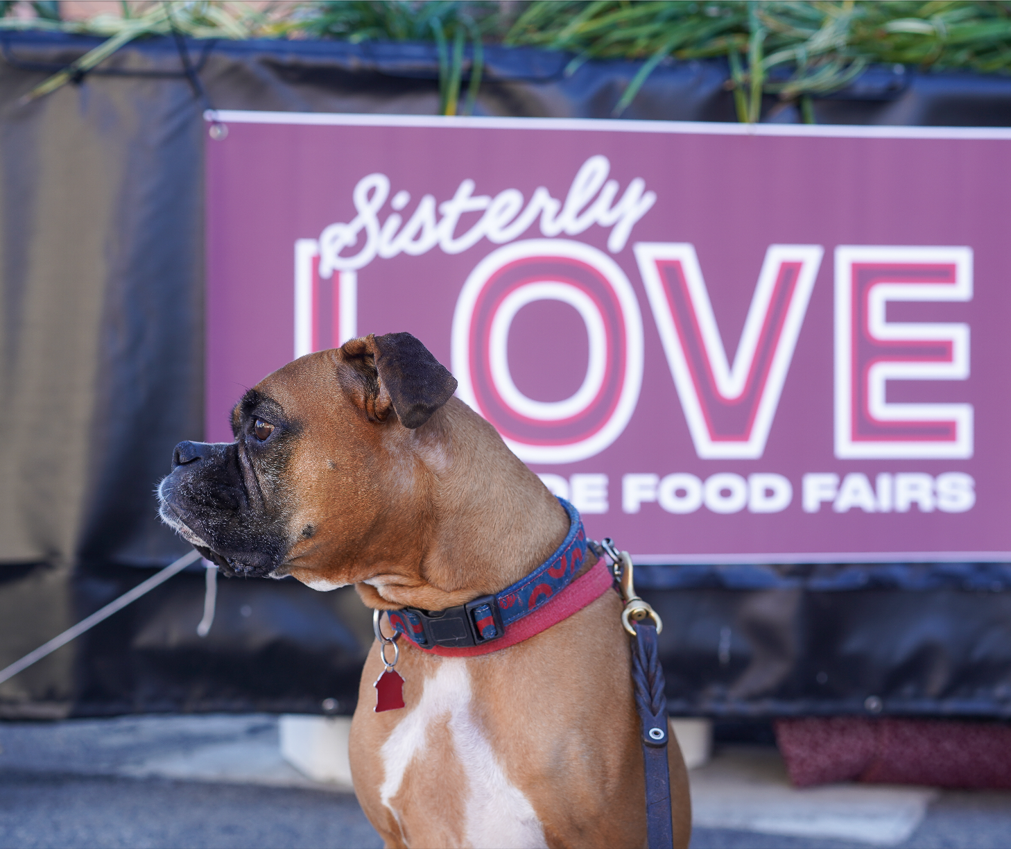 Twelve Festive and Socially Distanced Dining Experiences at Philadelphia Restaurants