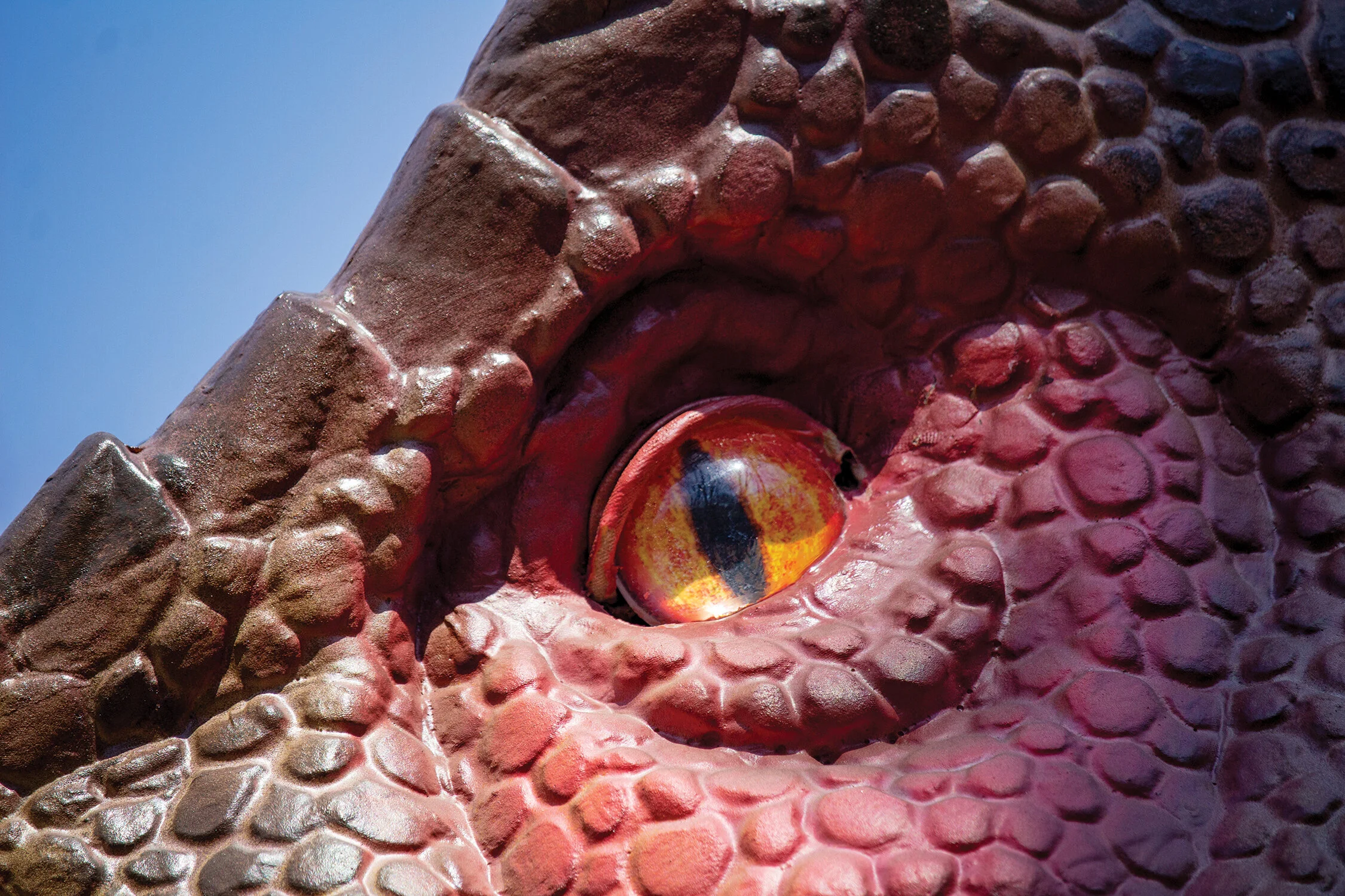 Philadelphia Zoo Debuts Friday Nights Dinos and Bites with Extended Hours