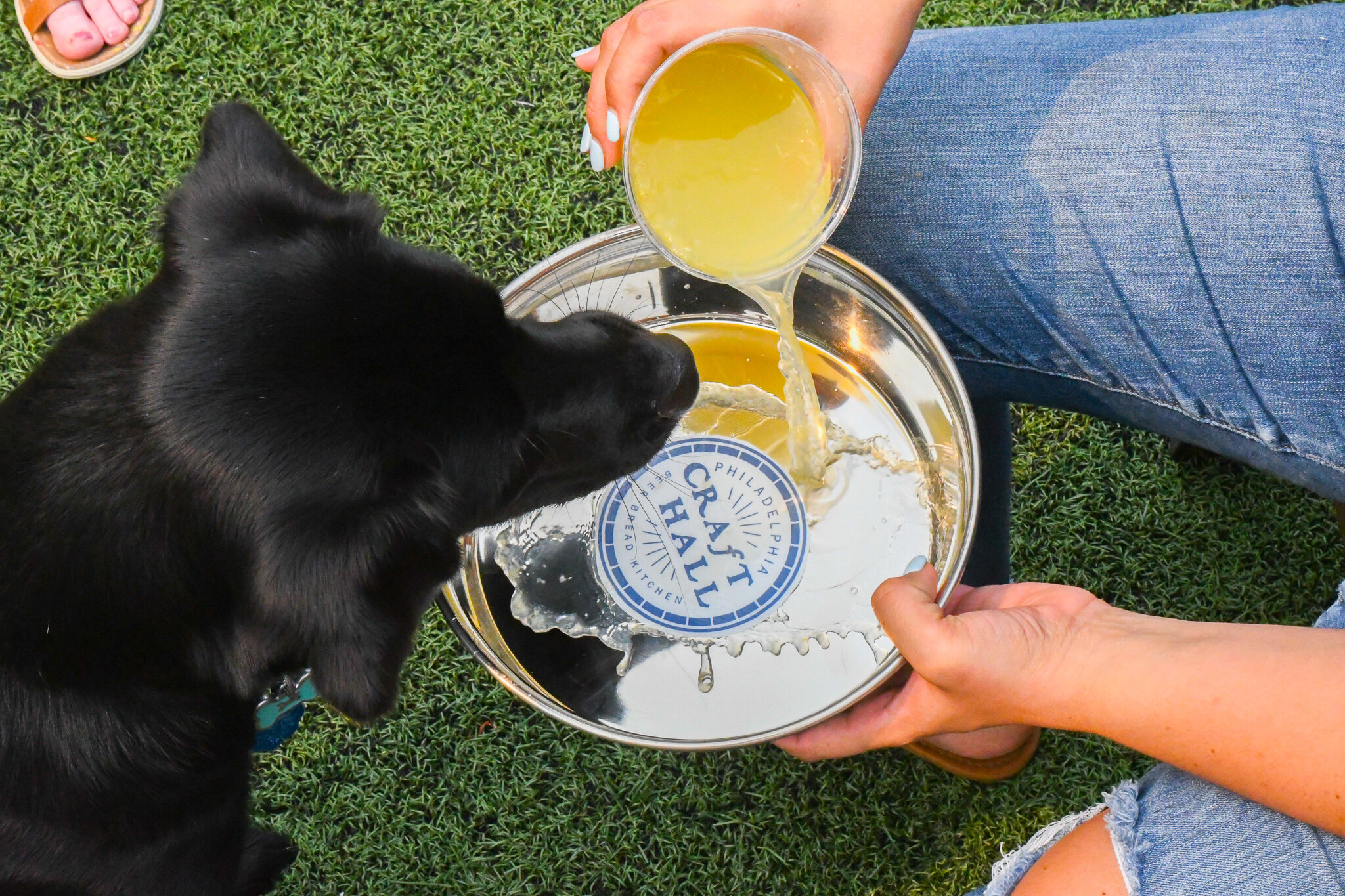 Craft Hall, Dog Park, Beer Garden