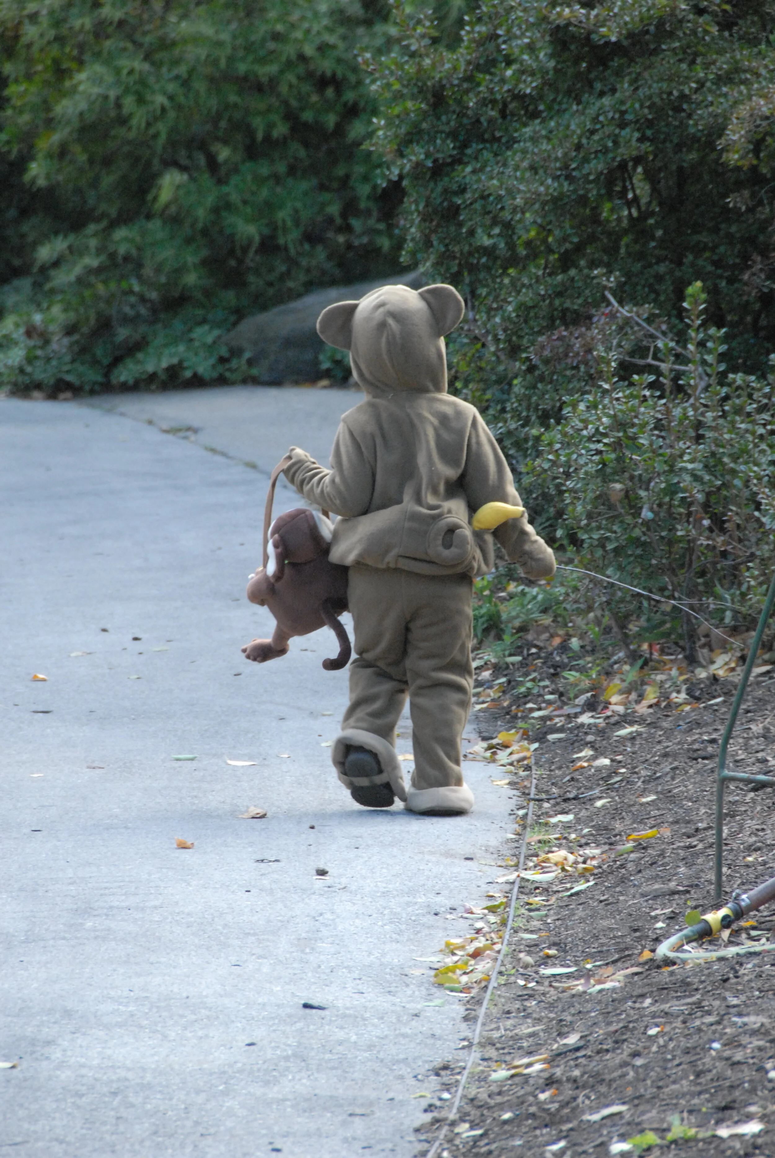 Philadelphia Zoo Presents Annual Boo at the Zoo Halloween Extravaganza this October