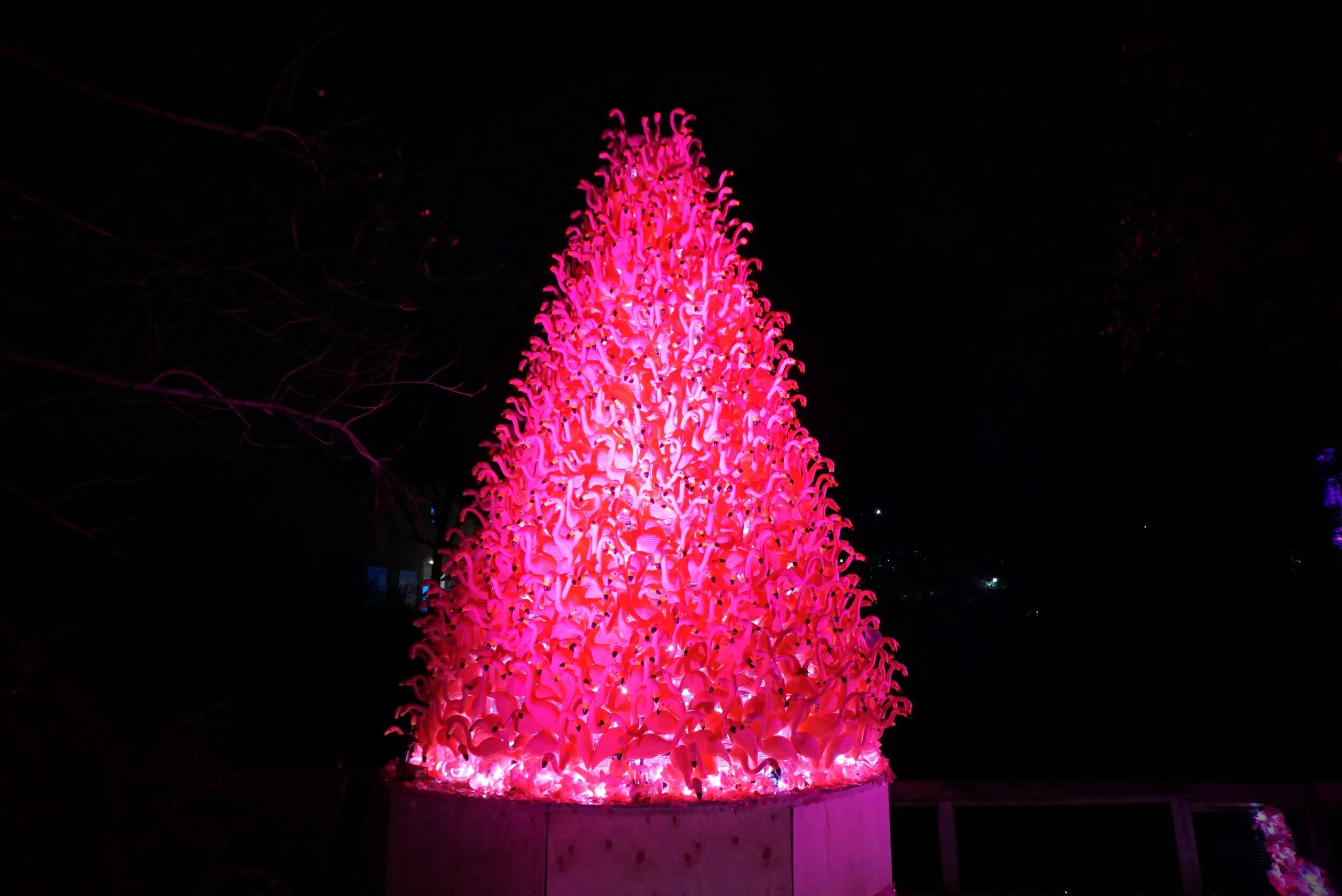 Philadelphia Zoo Lights Up A Million Holiday Lights for Dazzling Return of LumiNature