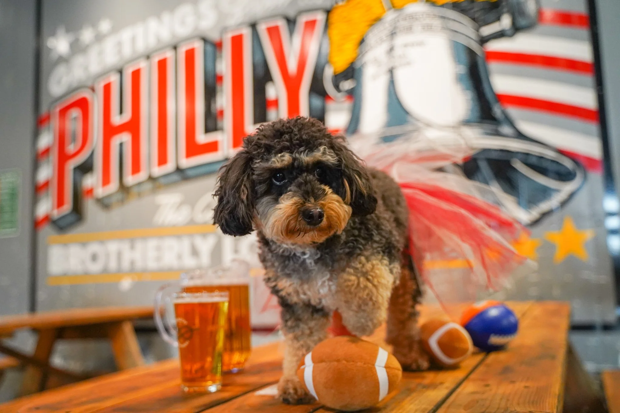 Philadelphia Bark Bowl Makes Debut Super Bowl Weekend at Craft Hall to Benefit PSPCA